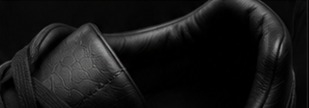 Padded JAGORR interior